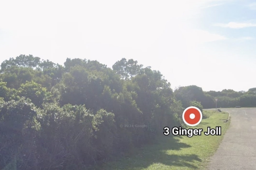 0 Bedroom Property for Sale in St Francis On Sea Eastern Cape